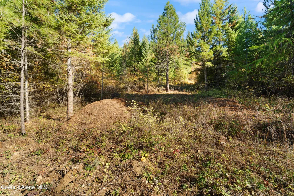 NNA Sunsetter Lane Lot 2 Cocolalla, ID 83813