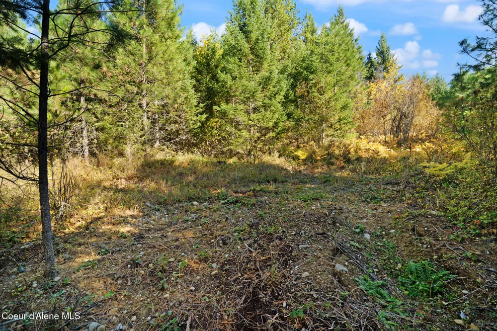 NNA Sunsetter Lane Lot 2 Cocolalla, ID 83813