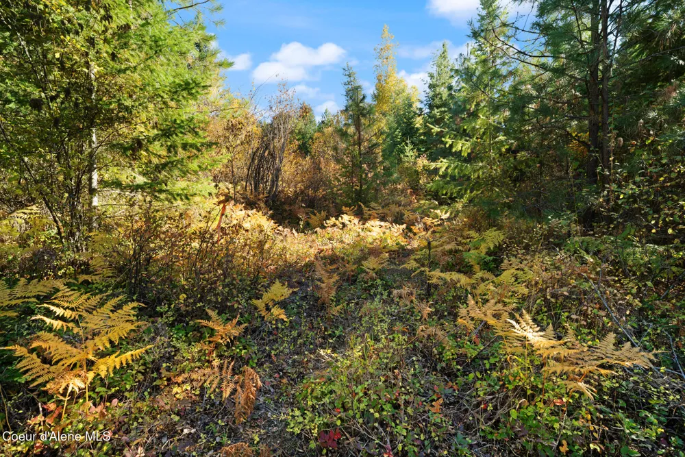 NNA Sunsetter Lane Lot 2 Cocolalla, ID 83813