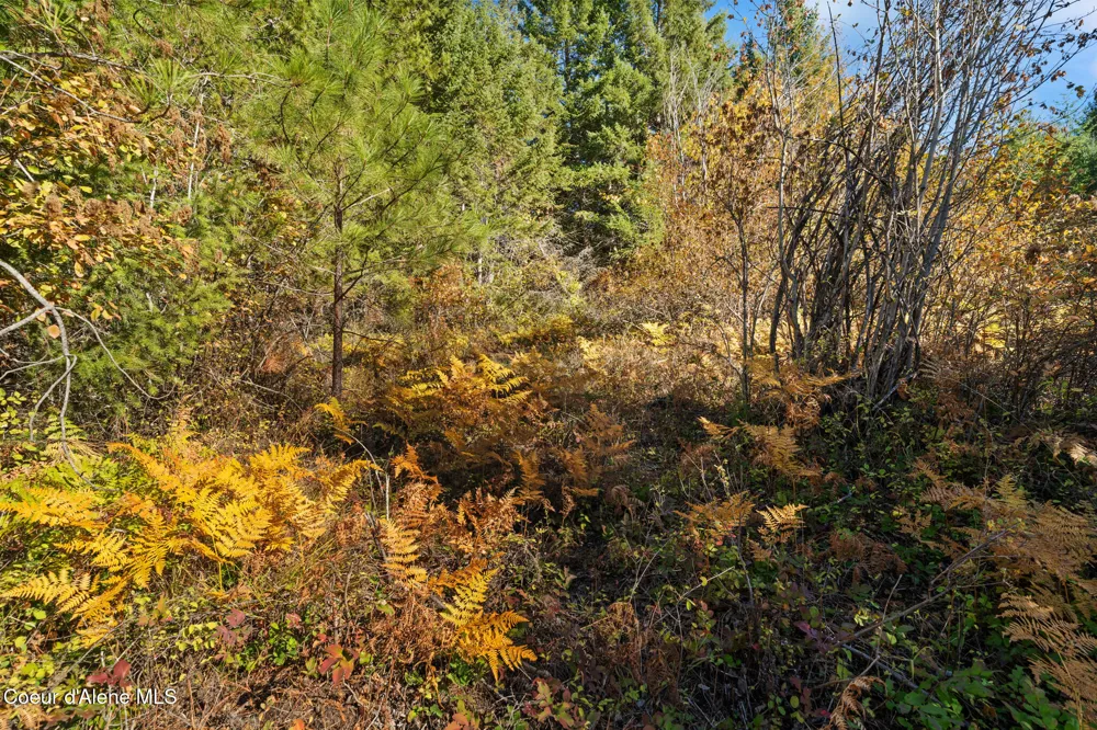 NNA Sunsetter Lane Lot 2 Cocolalla, ID 83813