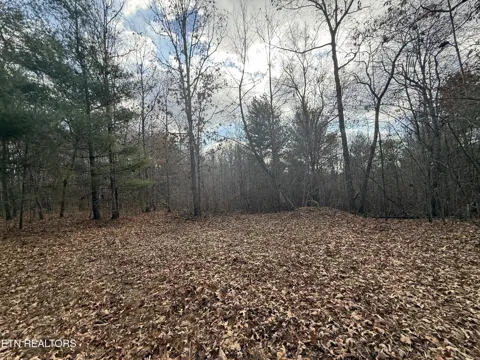 0 Valerie Drive 10.77 acres Driv