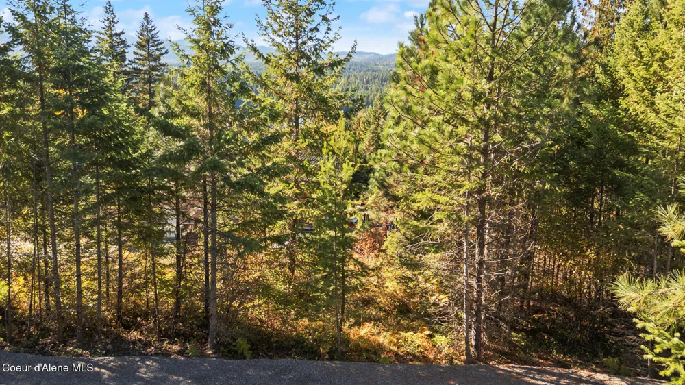NNA Sunsetter Lane Lot 3 Cocolalla, ID 83813