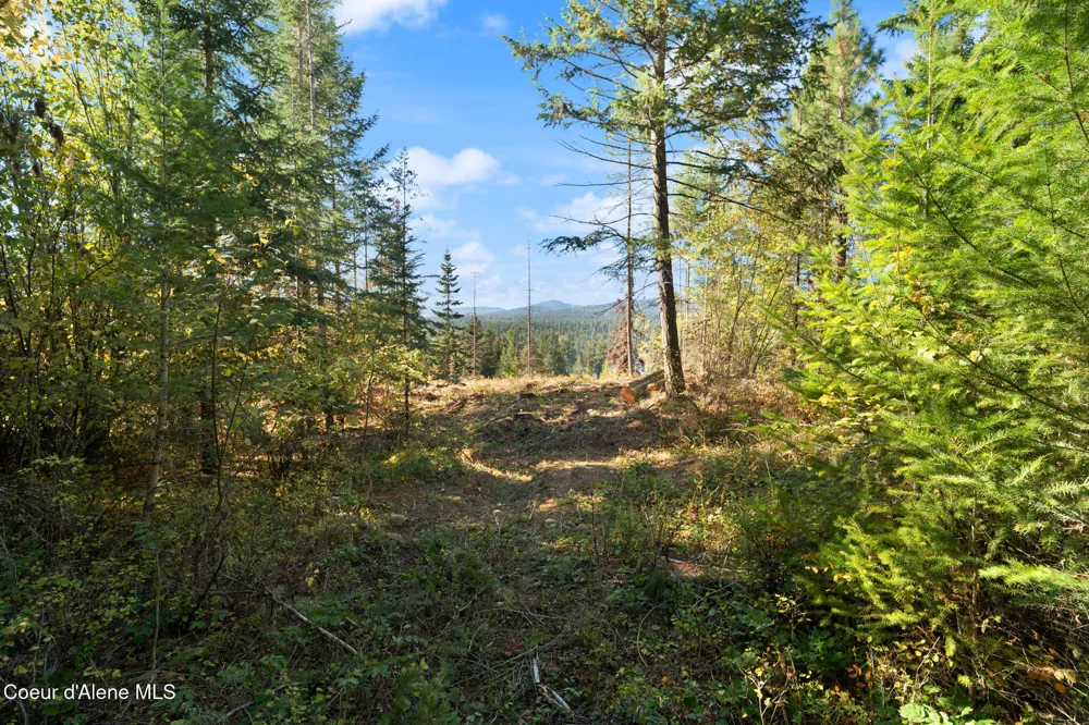 NNA Sunsetter Lane Lot 3 Cocolalla, ID 83813