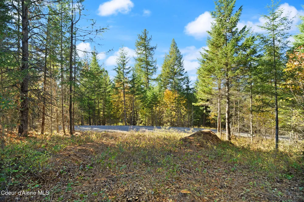 NNA Sunsetter Lane Lot 3 Cocolalla, ID 83813