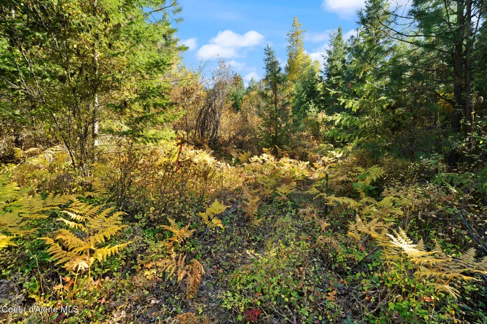 NNA Sunsetter Lane Lot 3 Cocolalla, ID 83813