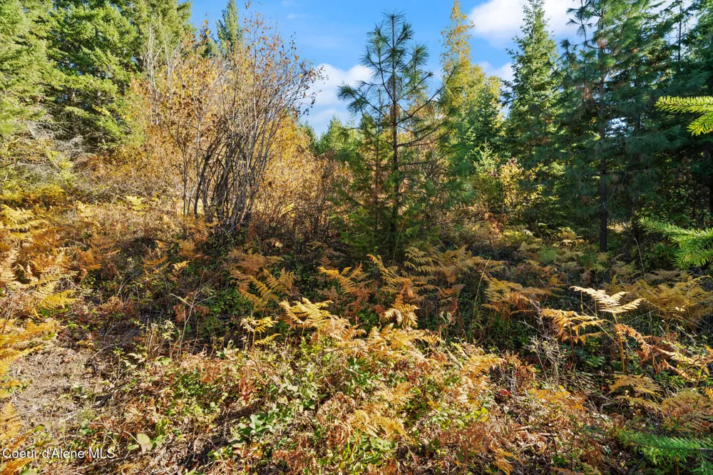 NNA Sunsetter Lane Lot 3 Cocolalla, ID 83813
