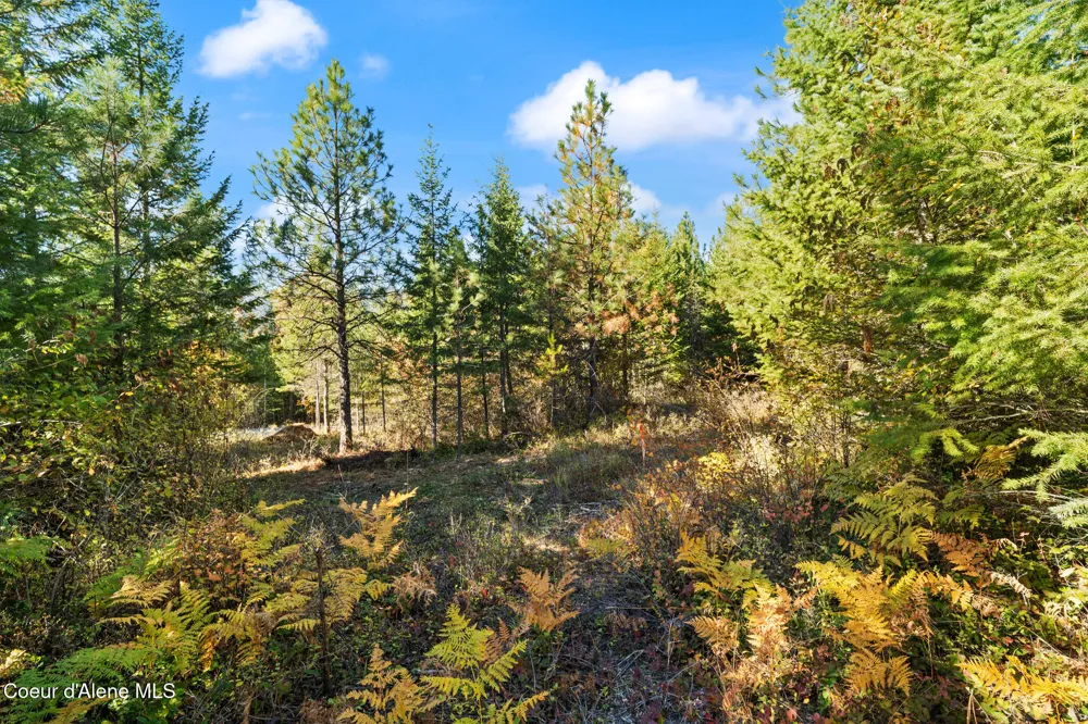 NNA Sunsetter Lane Lot 3 Cocolalla, ID 83813
