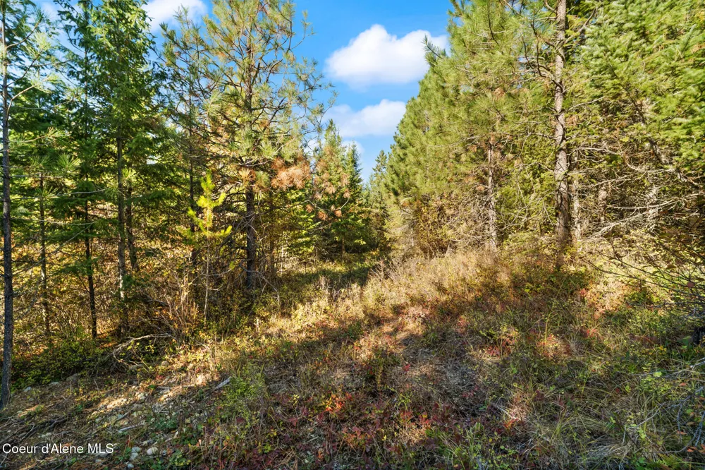 NNA Sunsetter Lane Lot 3 Cocolalla, ID 83813
