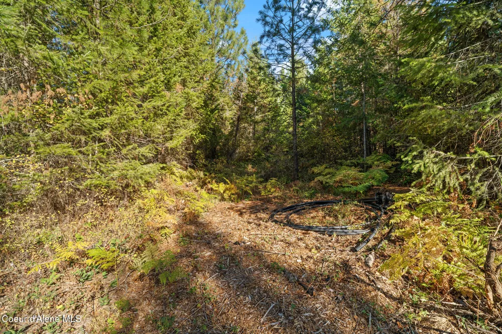 NNA Sunsetter Lane Lot 3 Cocolalla, ID 83813