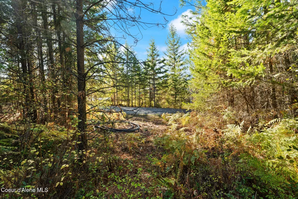 NNA Sunsetter Lane Lot 3 Cocolalla, ID 83813