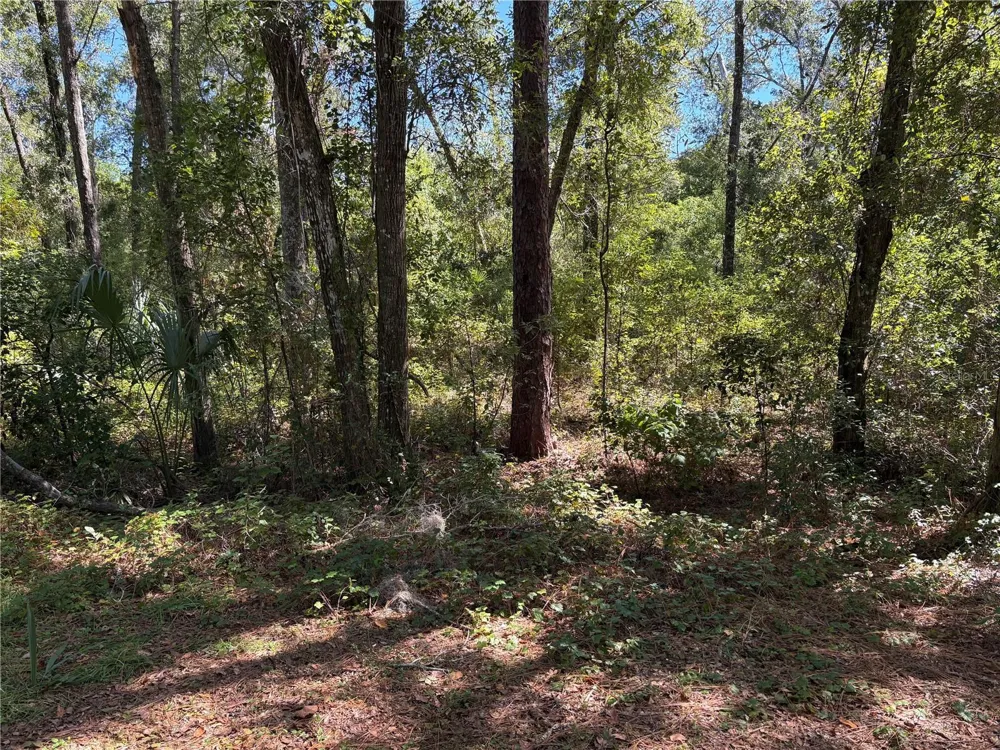 1222 CLOVER TERRACE Inverness, FL 34452