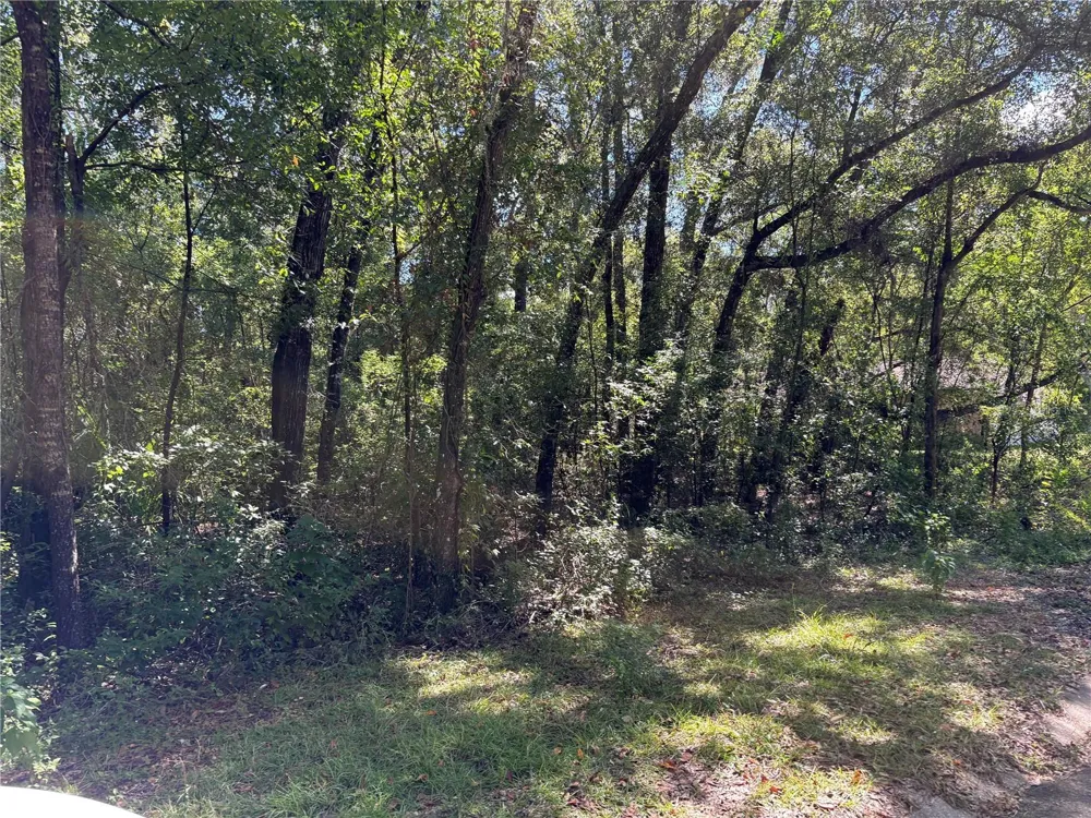1222 CLOVER TERRACE Inverness, FL 34452