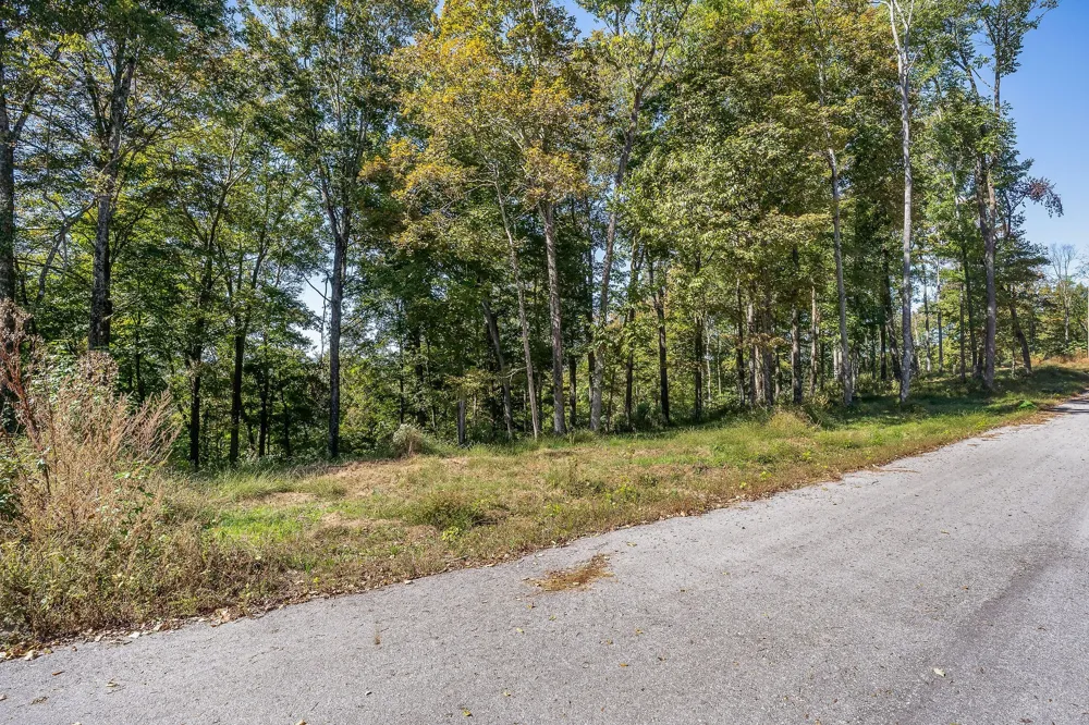 0 Back Ranch Dr Silver Point, TN 38582