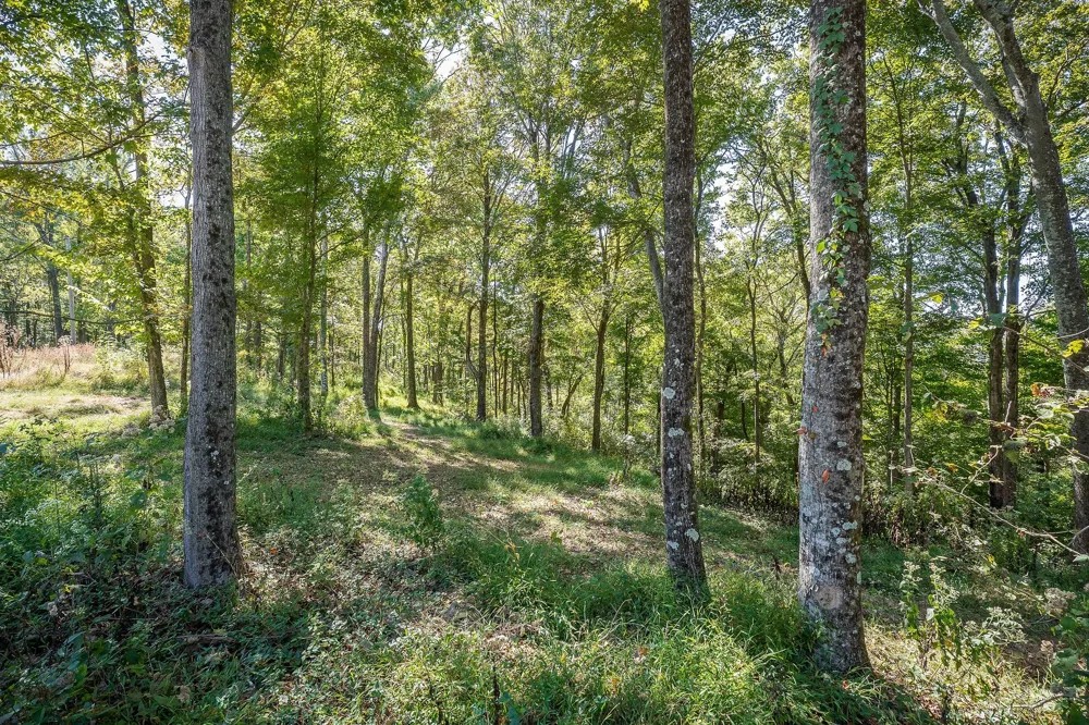 0 Back Ranch Dr Silver Point, TN 38582