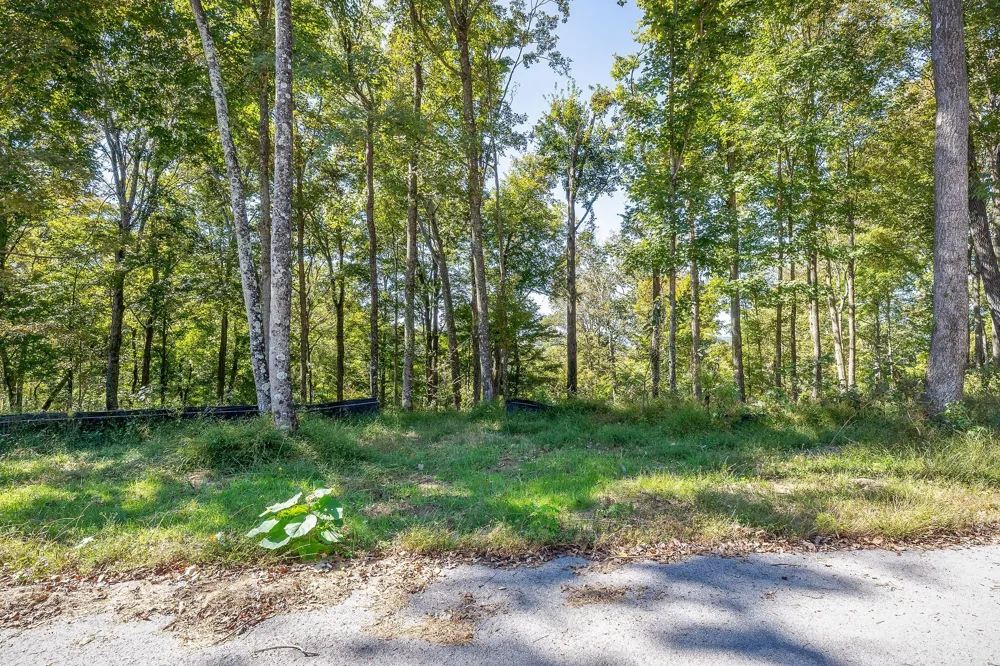 0 Back Ranch Dr Silver Point, TN 38582