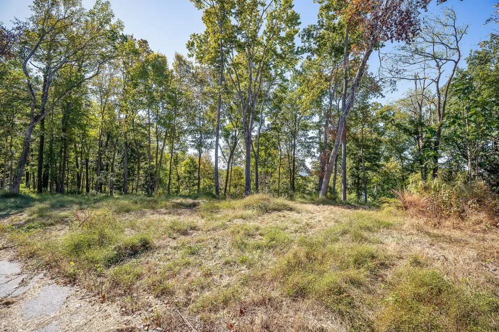 0 Back Ranch Dr Silver Point, TN 38582
