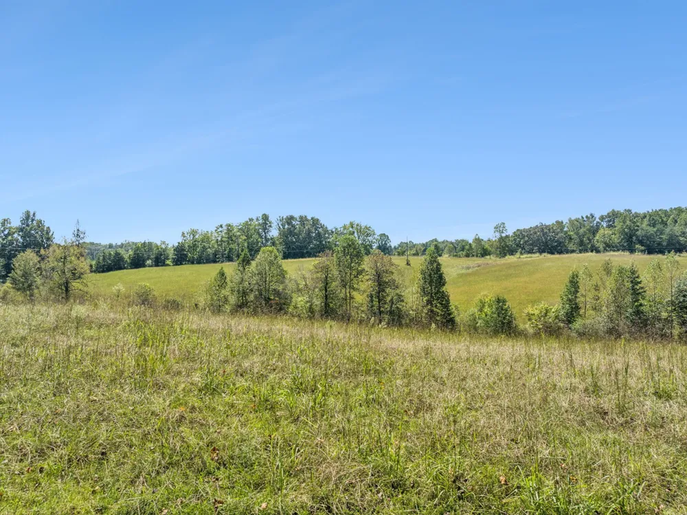 8272 Burgess Falls Rd Baxter, TN 38544