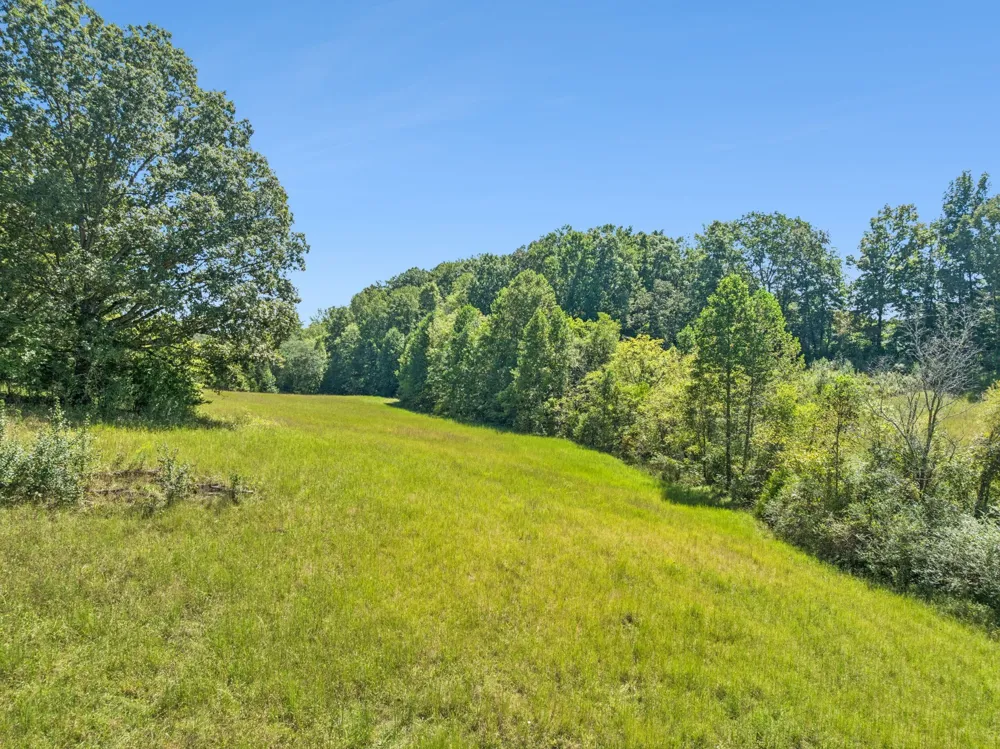 8272 Burgess Falls Rd Baxter, TN 38544
