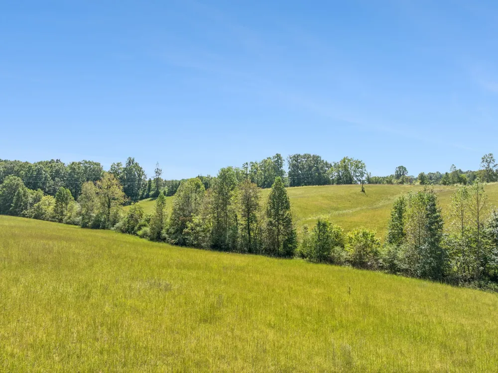 8272 Burgess Falls Rd Baxter, TN 38544