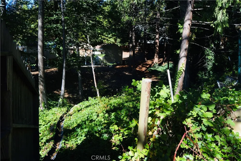 39656 Red Bud Bass Lake, CA 93604