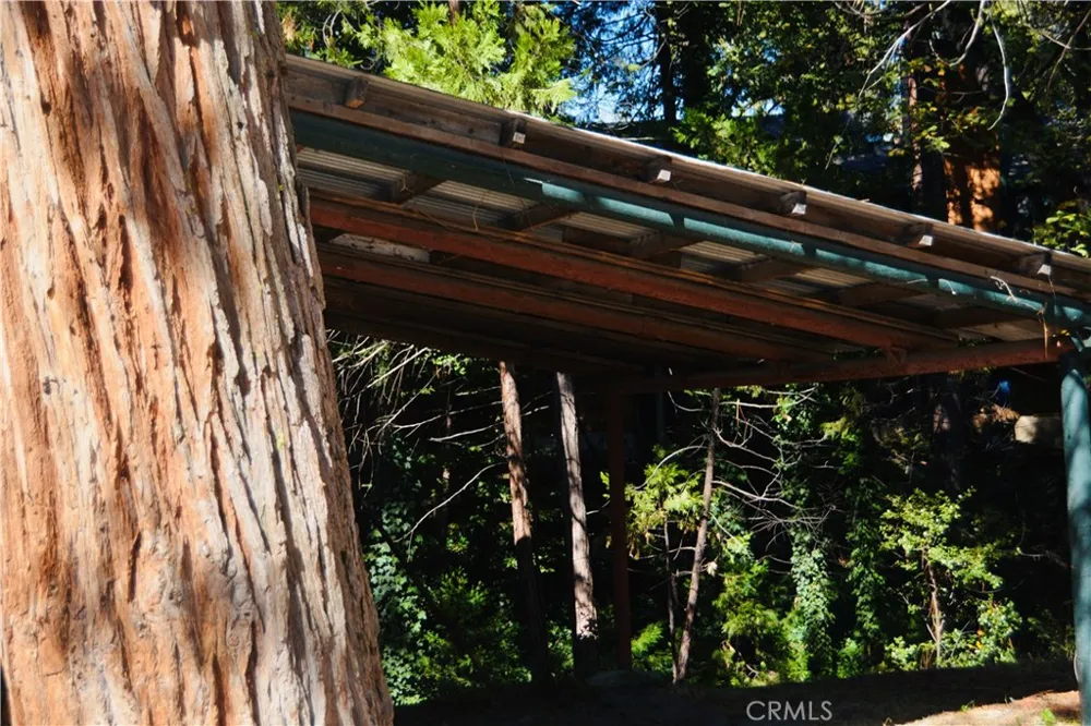 39656 Red Bud Bass Lake, CA 93604