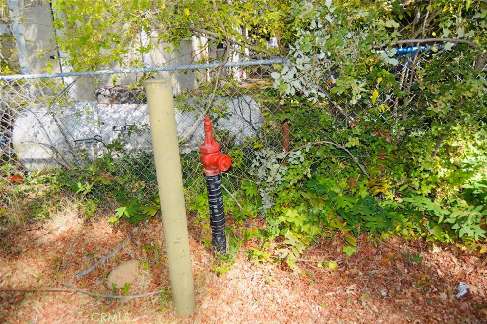39656 Red Bud Bass Lake, CA 93604