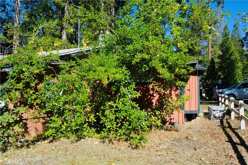 39656 Red Bud Bass Lake, CA 93604