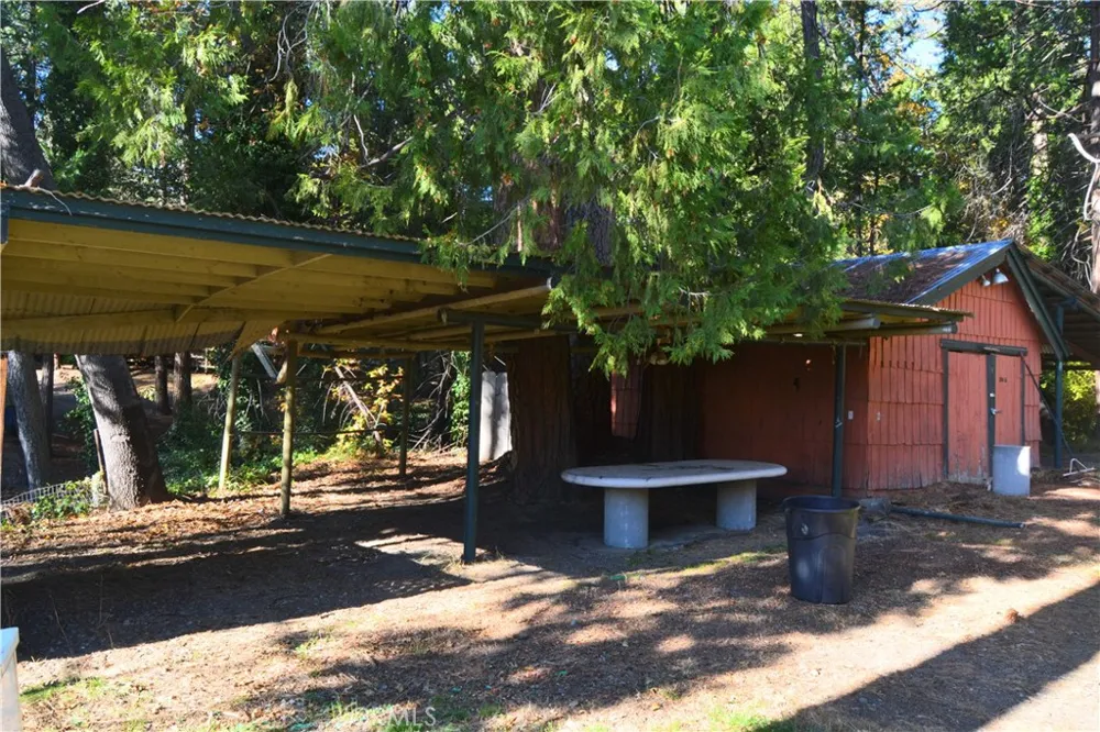 39656 Red Bud Bass Lake, CA 93604