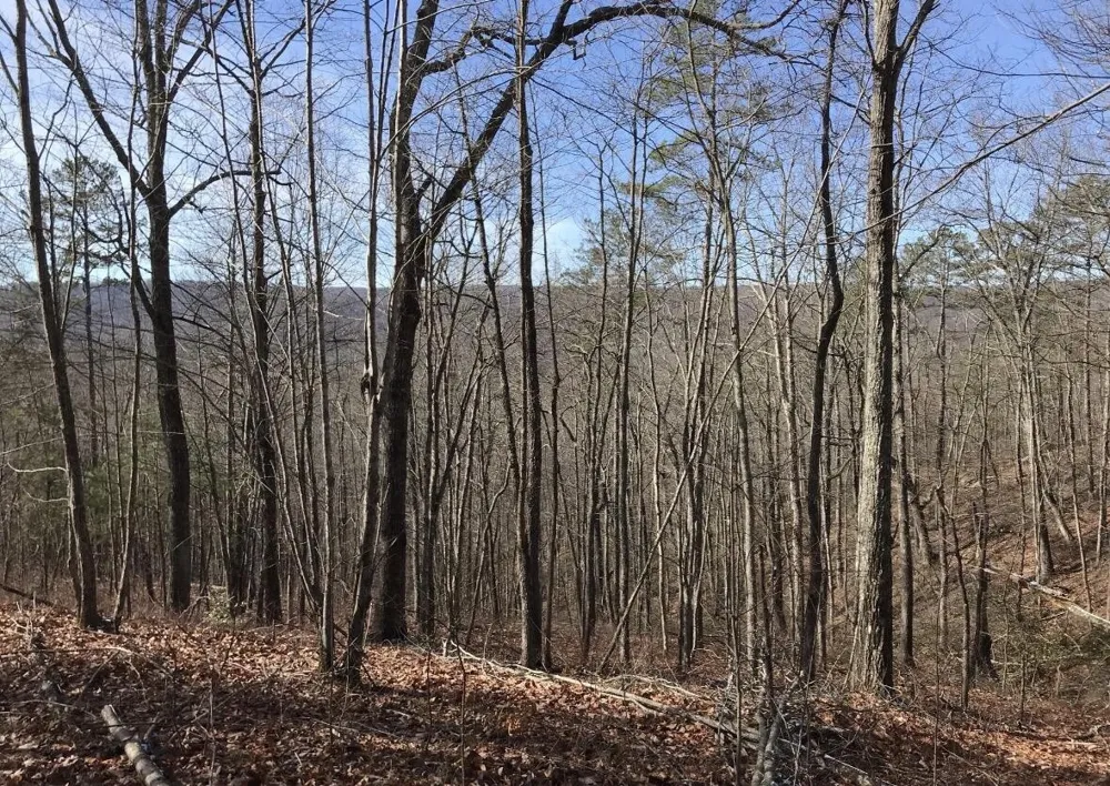 0 Chestnut Oak Drive Dunlap, TN 37327