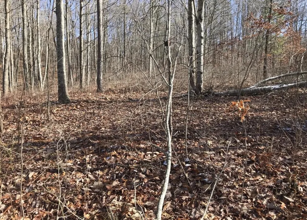 0 Chestnut Oak Drive Dunlap, TN 37327