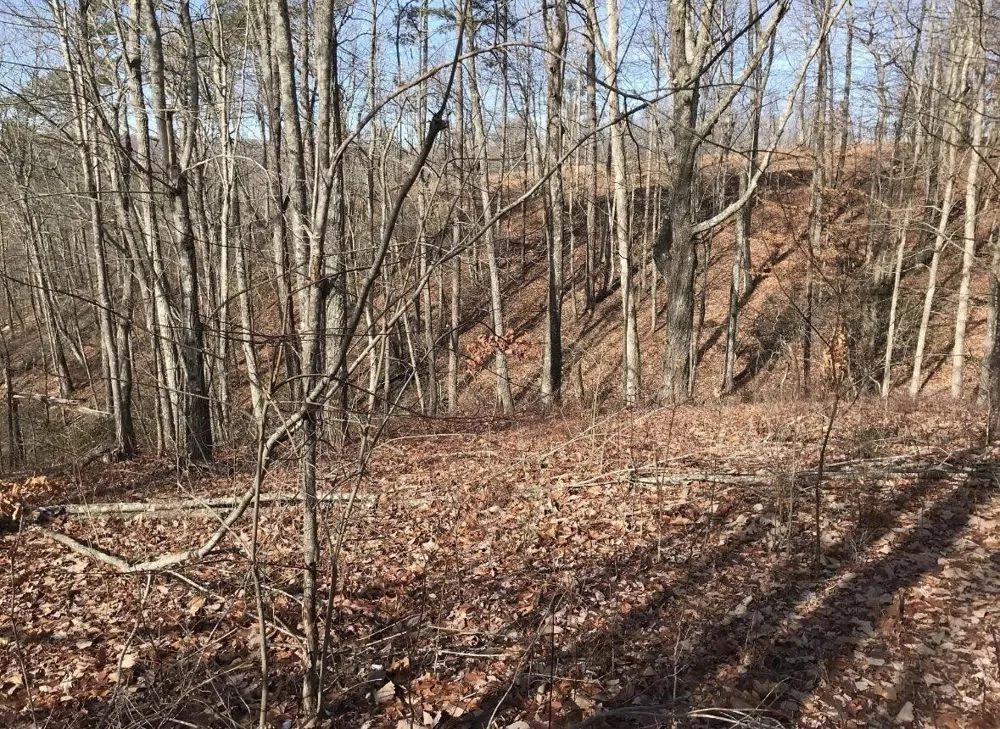 0 Chestnut Oak Drive Dunlap, TN 37327