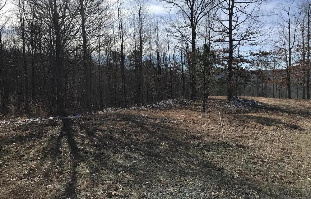 0 Chestnut Oak Drive Dunlap, TN 37327