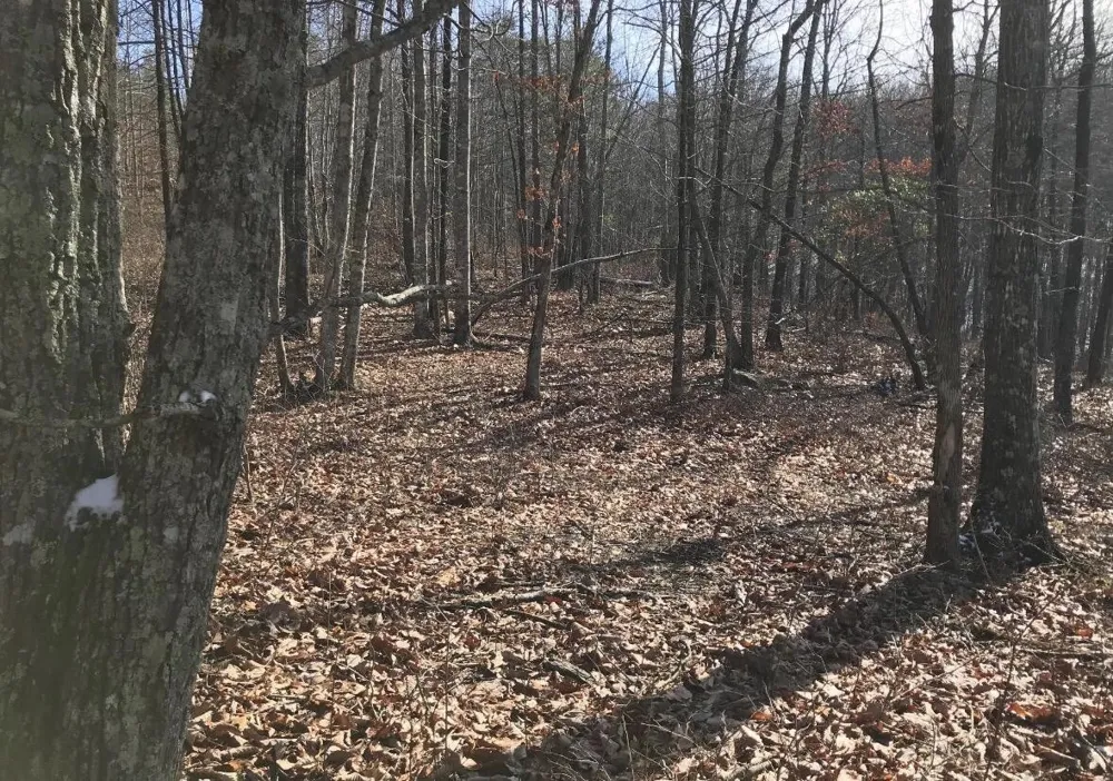 0 Chestnut Oak Drive Dunlap, TN 37327