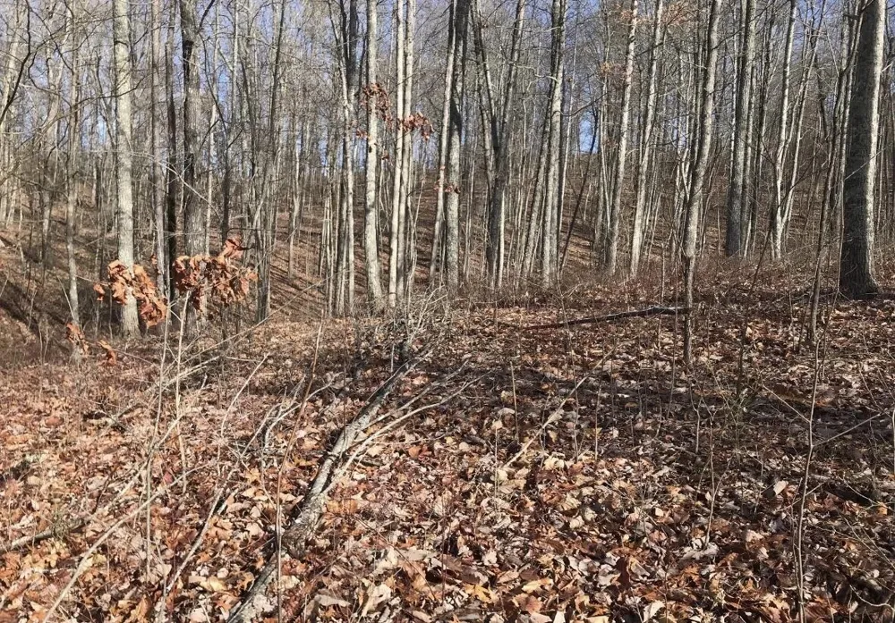 0 Chestnut Oak Drive Dunlap, TN 37327