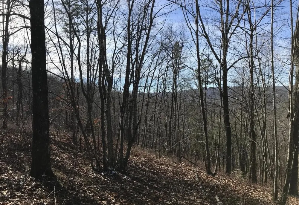 0 Chestnut Oak Drive Dunlap, TN 37327