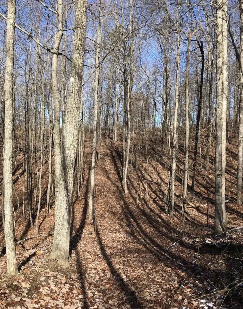 0 Chestnut Oak Drive Dunlap, TN 37327