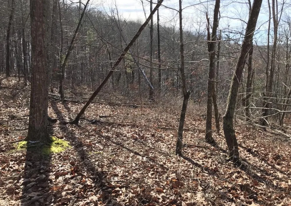 0 Chestnut Oak Drive Dunlap, TN 37327