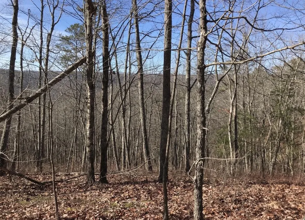 0 Chestnut Oak Drive Dunlap, TN 37327