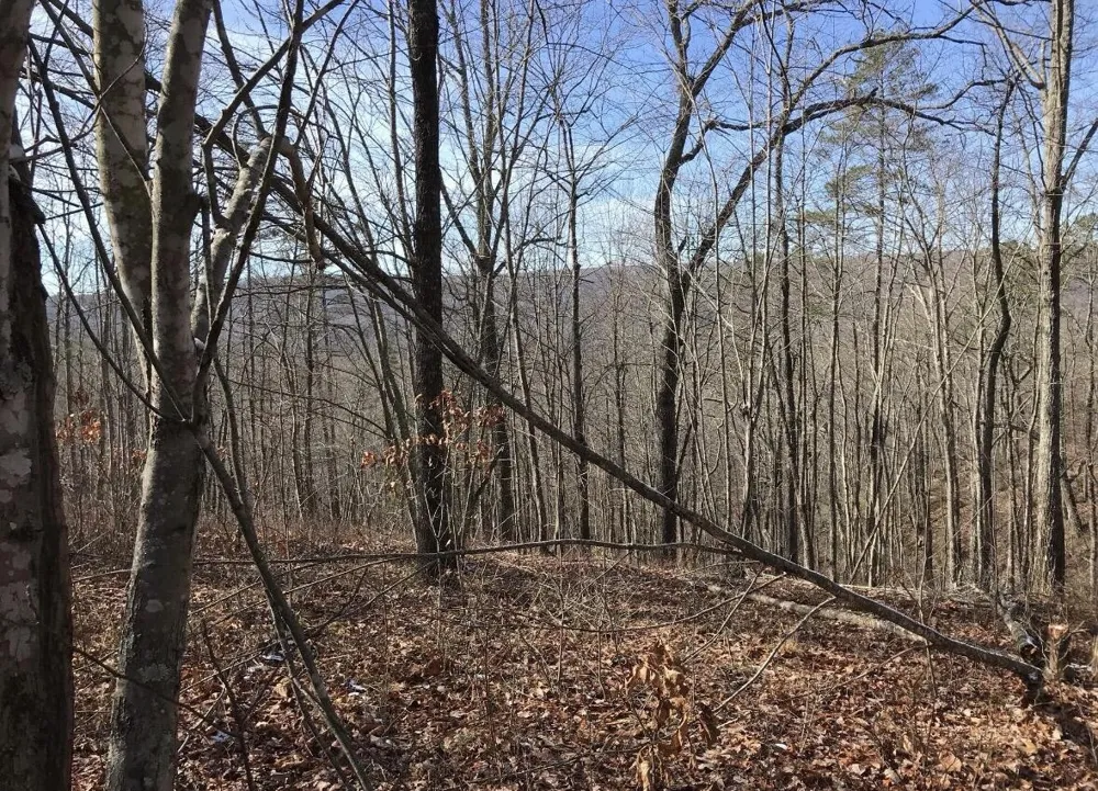 0 Chestnut Oak Drive Dunlap, TN 37327