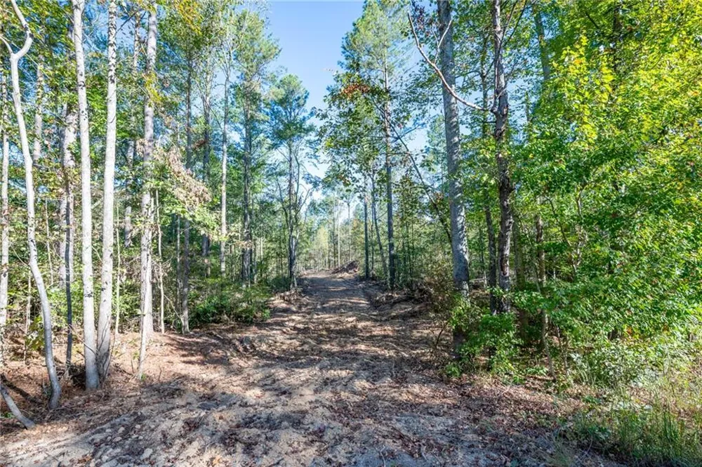 3859 HWY 140 NE Rydal, GA 30171