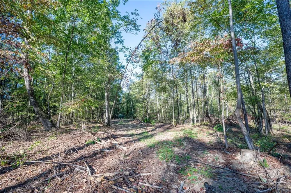 3859 HWY 140 NE Rydal, GA 30171