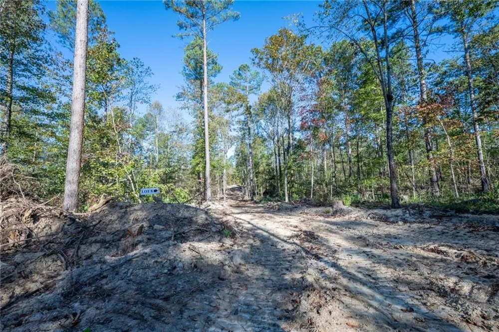 3859 HWY 140 NE Rydal, GA 30171