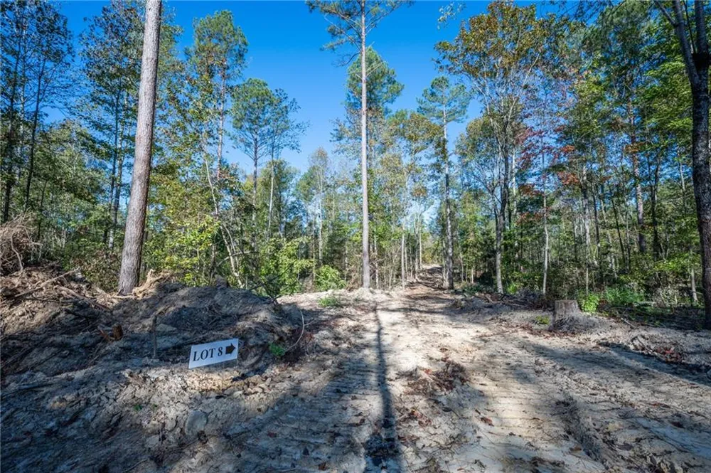 3859 HWY 140 NE Rydal, GA 30171