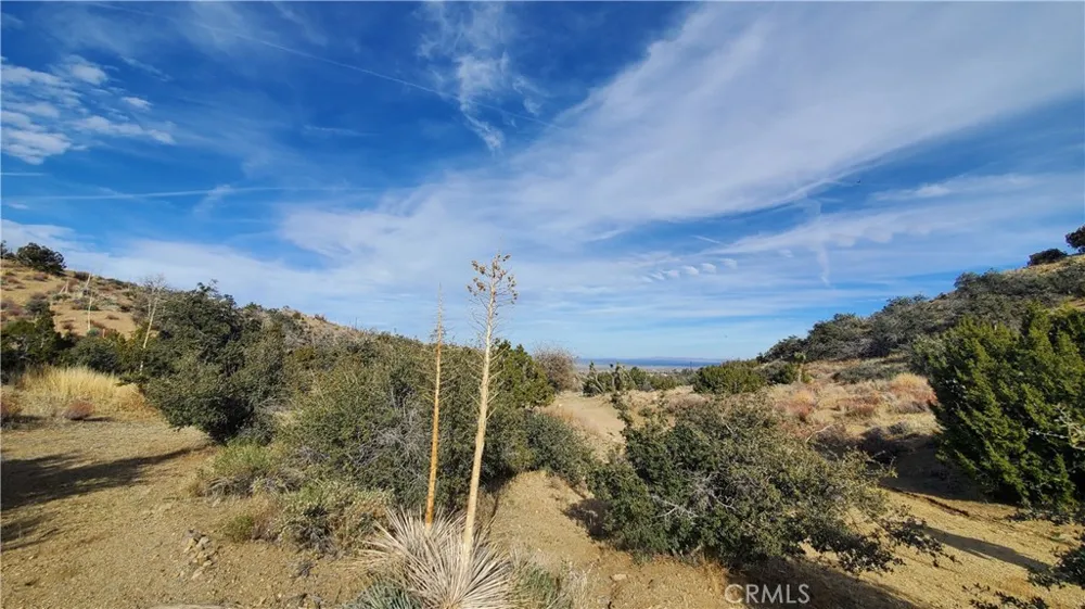 Vicinity Ross Road E Juniper Hills, CA 93543