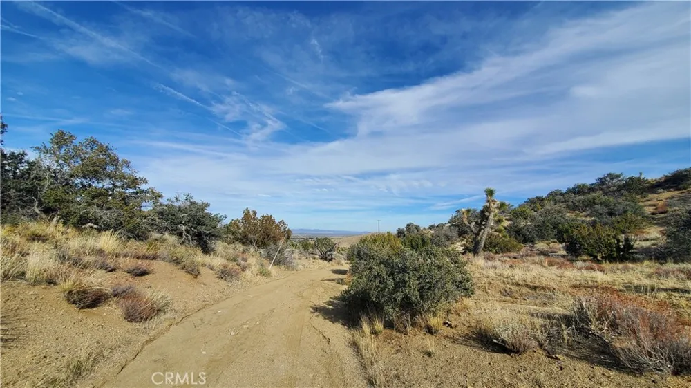 Vicinity Ross Road E Juniper Hills, CA 93543