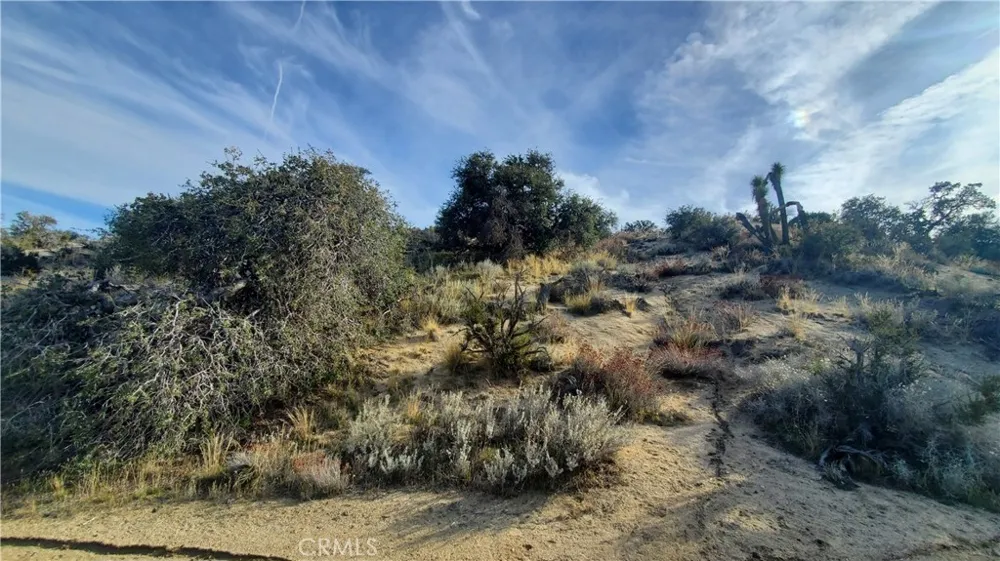 Vicinity Ross Road E Juniper Hills, CA 93543
