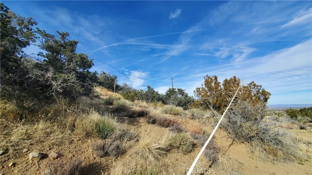 Vicinity Ross Road E Juniper Hills, CA 93543