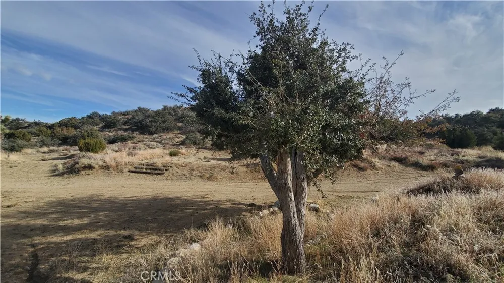 Vicinity Ross Road E Juniper Hills, CA 93543