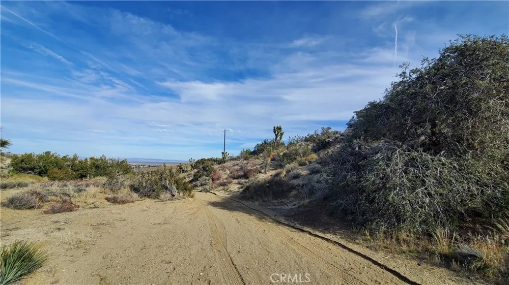 Vicinity Ross Road E Juniper Hills, CA 93543