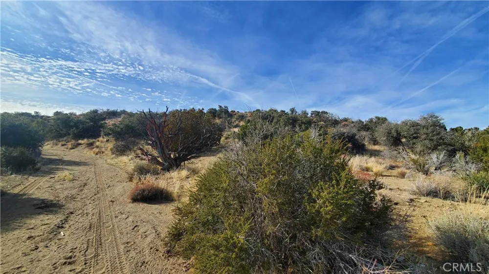Vicinity Ross Road E Juniper Hills, CA 93543